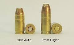 The .380 is a very small, light round that is considered right on the edge of defensive power